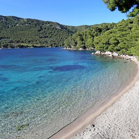 Apartments By The Sea Zuljana, Peljesac - 19080 المظهر الخارجي الصورة