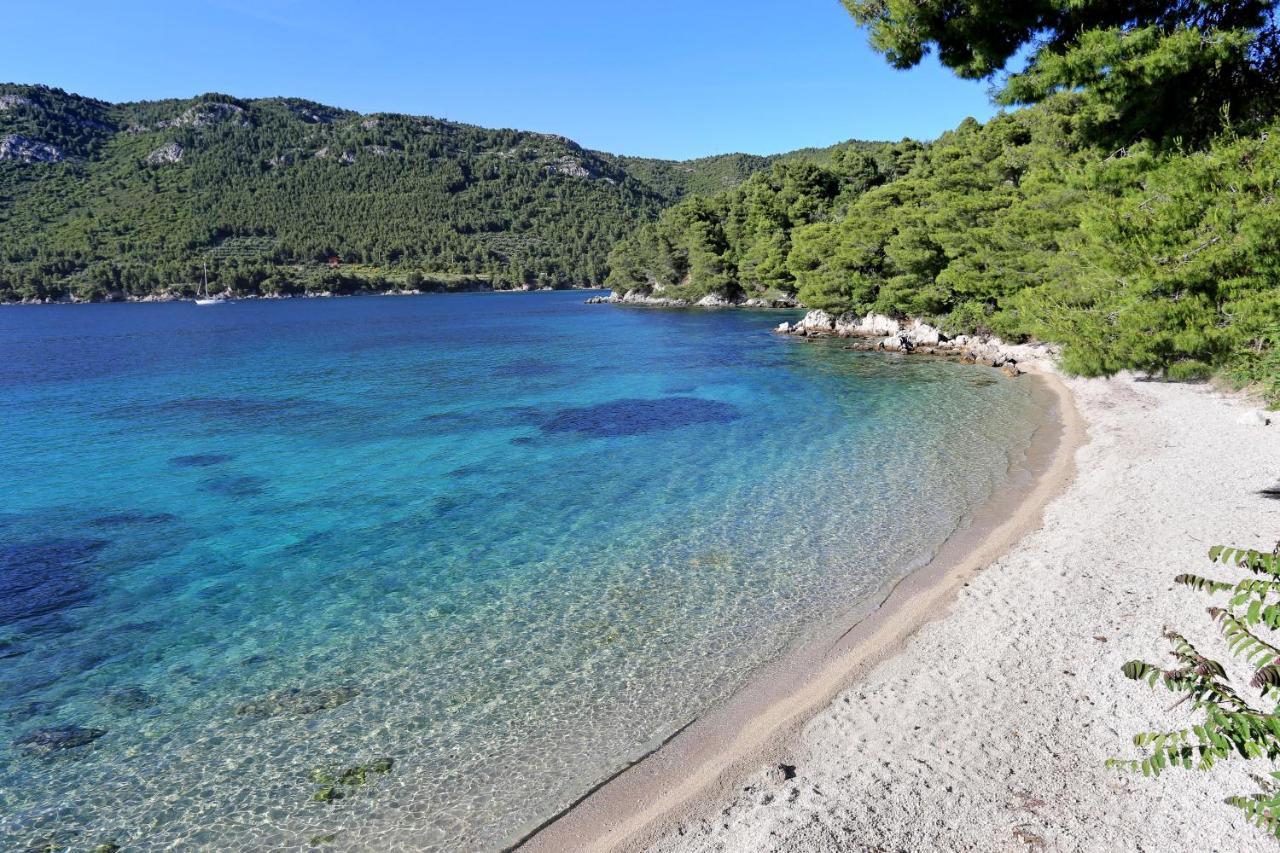 Apartments By The Sea Zuljana, Peljesac - 19080 المظهر الخارجي الصورة